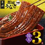 育ちのうなぎ蒲焼3尾680g以上 大きいサイズ