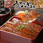 ふるさと納税 都城市 宮崎県育ちのうなぎ蒲焼3尾約500g≪山椒・たれ付≫(都城市)