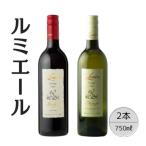 ルミエール プレステージクラス オランジェ