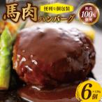桜文 馬肉ハンバーグ 総量720g 120g×6個