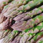 fu.... налог . хорошо . город [2026 год отправка ] тест ...!. хорошо . производство . земля культивирование зеленый aspala(S~L размер смешивание ) 1kg