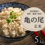 ふるさと納税 飯田市 栽培期間中農薬・肥料不使用 亀の尾 玄米 5kg