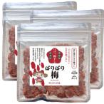 持ち運びできる梅干し ぱりぱり梅 20g×3袋