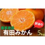 ふるさと納税 美浜町 【訳あり】農家直送 有田みかん 約5kg ご家庭用 サイズ混合 nuk004-noka-c5A
