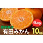 ふるさと納税 美浜町 【訳あり】農家直送 有田みかん 10kg ご家庭用 サイズ混合 nuk004-noka-c10A