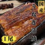 鰻蒲焼1尾 たれ 山椒付き