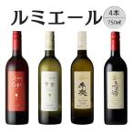 ルミエール 赤白ワイン 計4本セット 2