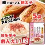 博多辛子めんたい粉 明太ふりかけ 40g入×10袋