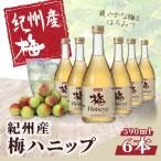 希釈用梅ドリンク 紀州産梅ハニップ 590g