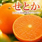紀州有田産せとか約2.5kg とろける食感