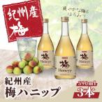 希釈用梅ドリンク 紀州産梅ハニップ 590g