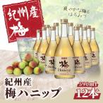 希釈用梅ドリンク 紀州産梅ハニップ 590g
