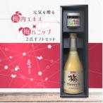 紀州産梅肉エキス×梅ハニップ セット
