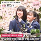 龍ケ崎市への寄付（返礼品なし）