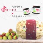 紀州産梅肉エキス 50g