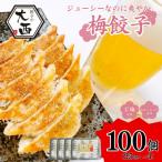大西の梅餃子セット 計100個