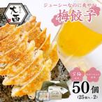 大西の梅餃子セット BOX 計50個
