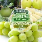 ショッピングふるさと納税 梨 ふるさと納税 北栄町 二十世紀梨とシャインマスカットのセット 大