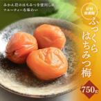 梅干し ふっくらはちみつ梅 計750g
