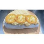 クリームチーズシュトレン レモンの恵み 1本×630g