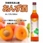 広沢農園 あんず酒 12% 500ml