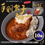 みやざき餃子新名物 手羽餃子カレー 10箱