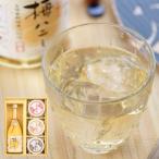 梅ハニーと梅干のセット