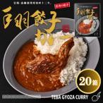 みやざき餃子新名物 手羽餃子カレー 20箱