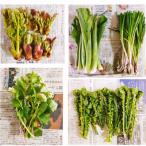 fu.... налог 10 мир рисовое поле город [. c . отправка ] Aomori префектура 10 мир рисовое поле город производство дикоросы комплект [2~5 вид ( вид случайный )] 1 коробка 