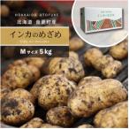 ふるさと納税 音更町 北海道おとふけ産じゃがいも「インカのめざめ」5kg(Mサイズ)【B127】