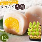 はっさく大福12個入×2 大福