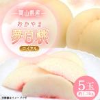 2027年 おかやま夢白桃 ロイヤル 1箱5玉入り