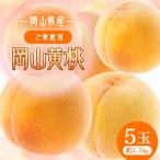 2027年 岡山黄桃 ご 5玉