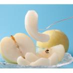 ふるさと納税 北栄町 二十世紀梨　特選　3kg　3L〜5L　6〜8玉前後