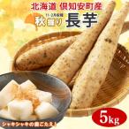 2026年発送 長芋 計5kg