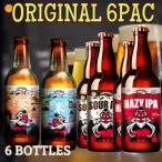 TENGOOD BEER 4種6本セット