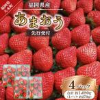 ふるさと納税 大木町 【2026年2月〜順次発送予定】福岡県産あまおう 4P(大木町)CT007