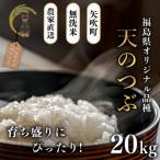 〉令和8年産 農家直送 ベルライスファーム