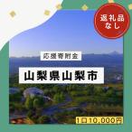 山梨市への寄付（返礼品なし）