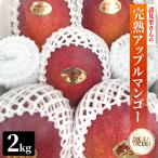 諸見里さんの完熟アップルマンゴー2.0kg