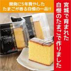 黄金のたまごカステラ12個