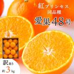 紅プリンセス と同品種 愛媛果試48号 3kg
