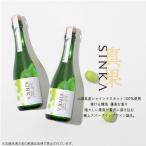 ふるさと納税 笛吹市 SINKA-真果-(シャインマスカット スパークリングワイン)2本セット