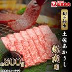 赤身がこじゃんと旨い 土佐あかうし 焼肉用 約800g