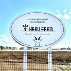 アプリがサポート ハルファームの市民農園利用券
