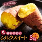 ふるさと納税 あきる野市 【訳あり】サイズ不揃い 東京都産サツマイモ5kg(シルクスイート)