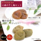 小森の干し梅セット フルーツUME 種ぬき黒糖ほし梅 各5袋