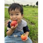 アプリがサポート ハルファームの市民農園利用券