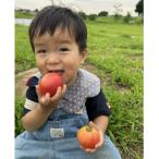 アプリがサポート ハルファームの市民農園利用券