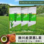 矢はぎの里 100g×3本箱入り